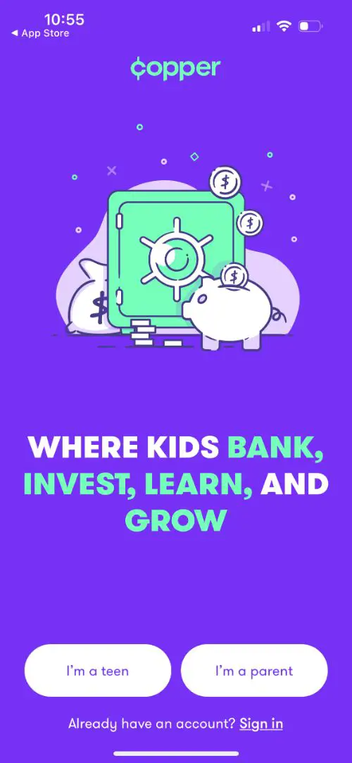 Copper Banking Review My Experience Kids' Money