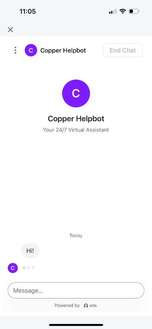 Copper Banking Review My Experience Kids' Money