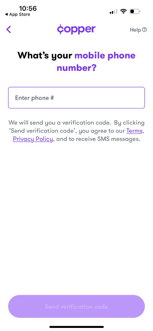 Copper Banking Review My Experience Kids' Money