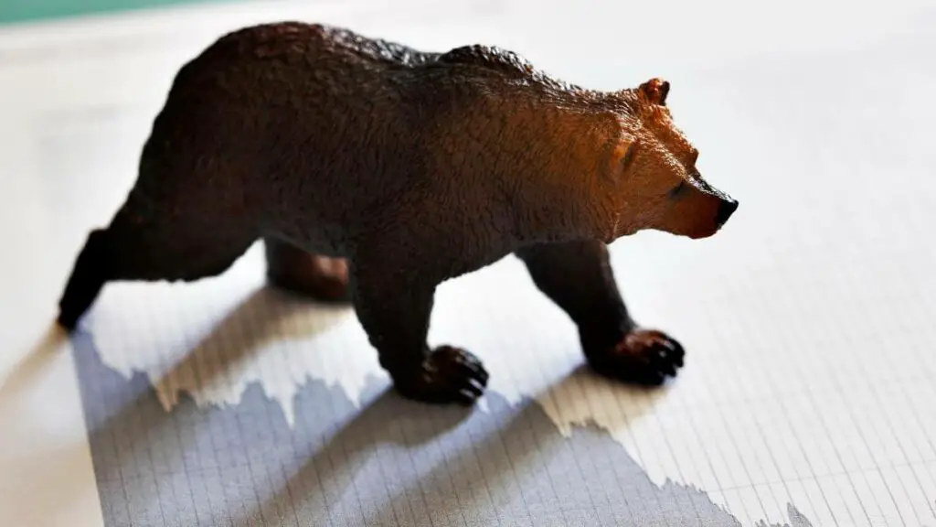 bear-market-investing